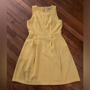Ann Taylor Loft sleeveless sheath dress.